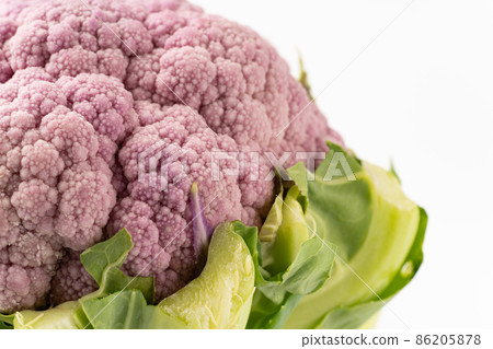 紫菜花 紫菜花 86205878
