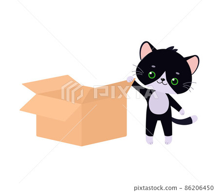 Cute black kawaii cat opens box on white background 86206450
