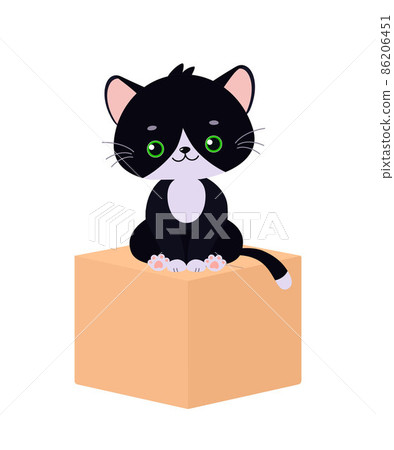 Cute kawaii black cat sitting on box on white background Cute kawaii black cat sitting on box on white background 86206451