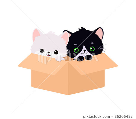 Cute kawaii kittens are sitting in box on white background 86206452