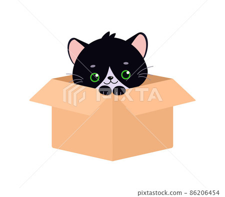 Cute gray kawaii cat sits in box on white background 86206454