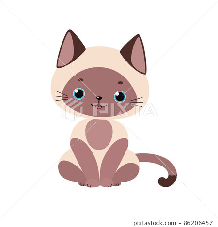 Cute siamese kawaii cat sitting isolated on white background. Cute siamese kawaii cat sitting isolated on white background. 86206457