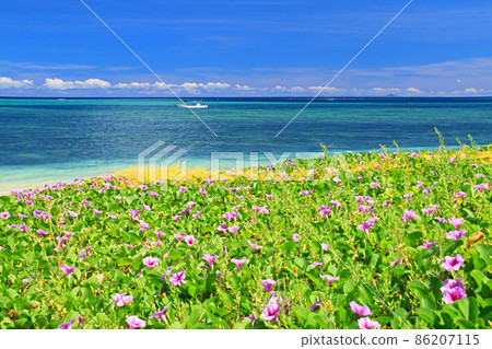 The beautiful sea of Onna Village, one of the best resorts on the main island of Okinawa 86207115