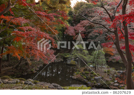 Taroga Yato Garden Jiro Bentenkei Taroga Yato Garden Jiro Bentenkei 86207629