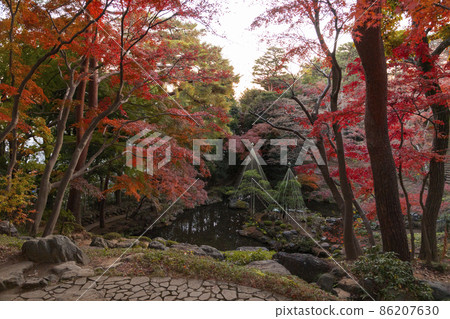 Taroga Yato Garden Jiro Bentenkei Taroga Yato Garden Jiro Bentenkei 86207630