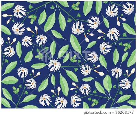 Background of Nyctanthes Arbor-tristis or Night Flowering Jasmine Background of Nyctanthes Arbor-tristis or Night Flowering Jasmine 86208172