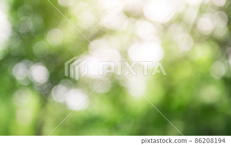 Fresh and green leaves green bokeh on nature abstract blur background green bokeh from tree.Mock up for display. Fresh and green leaves green bokeh on nature abstract blur background green bokeh from tree.Mock up for display. 86208194