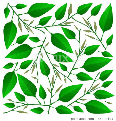 Illustration of A Fresh Green Leaves Background 86208195