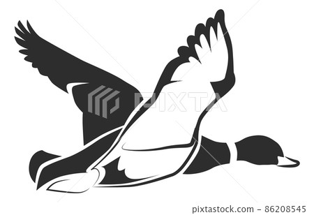Flying duck icon. Wild bird flight. Beautiful mallard 86208545