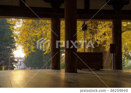 熊野的長床，總裁樓層，紅葉 86209648