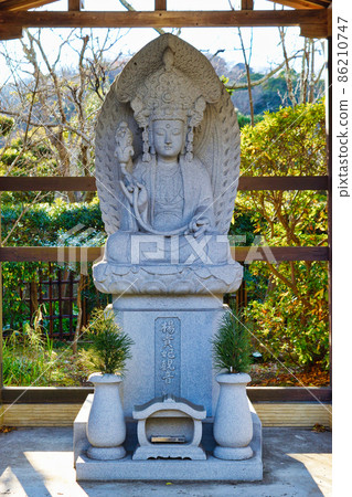 鎌倉定光寺的楊貴妃觀音 86210747
