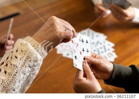 Senior woman maid 86211107