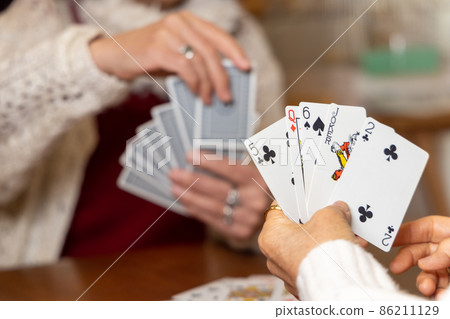 Senior woman maid Senior woman maid 86211129