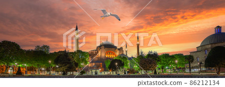 Hagia Sophia Mosque and seagull above it under dramatic sky 86212134