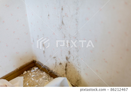 家庭改造浴室衛生間拆遷工作 86212467