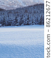 Forest at the foot of Mt. Yotei in winter 86212677