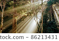 Sunbeams color 86213431