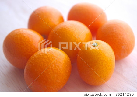 Kumquat up 86214289