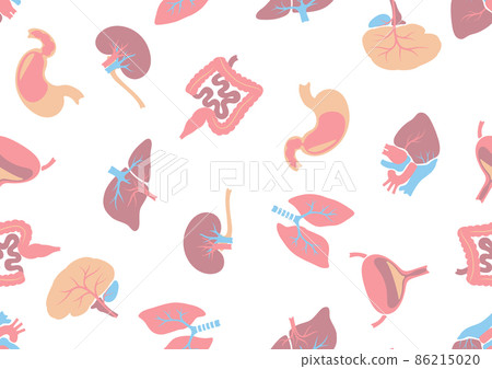 Seamless pattern with internal organs. Human body anatomy. Health care and medical background. 86215020