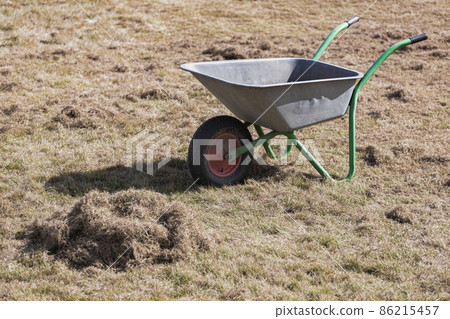 Garden cart with old grass on lawn after scarify Garden cart with old grass on lawn after scarify 86215457