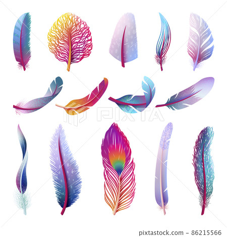Isolated feather collection. Colorful fantasy feathers, peacock bird tail element. Isolated festive decorative plumage swanky collection 86215566