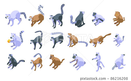 Lemur icons set, isometric style 86216208