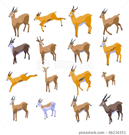 Gazelle icons set, isometric style Gazelle icons set, isometric style 86216351