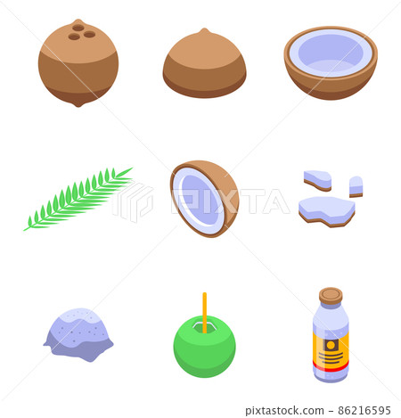 Coconut icons set, isometric style Coconut icons set, isometric style 86216595