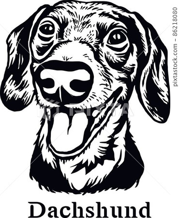 Dachshund - Funny Dog, Vector File, Cut Stencil for Tshirt 86218080
