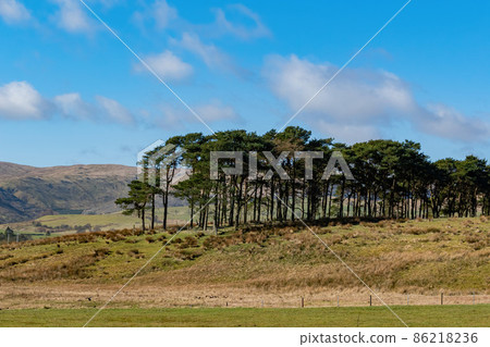 Sunny view of rural landscape Sunny view of rural landscape 86218236
