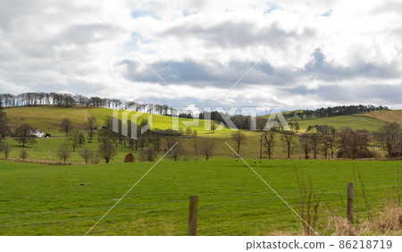 Sunny view of rural landscape 86218719