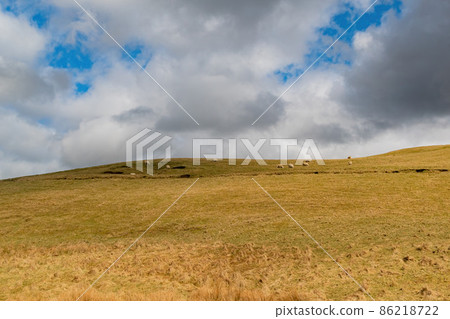 Sunny view of rural landscape Sunny view of rural landscape 86218722