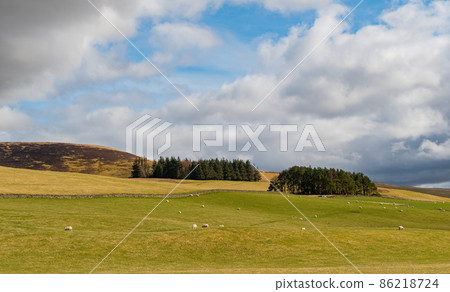 Sunny view of rural landscape Sunny view of rural landscape 86218724