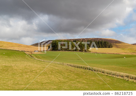 Sunny view of rural landscape Sunny view of rural landscape 86218725