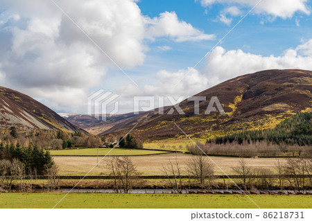 Sunny view of rural landscape Sunny view of rural landscape 86218731