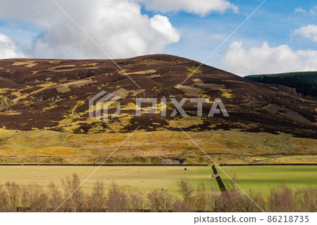 Sunny view of rural landscape Sunny view of rural landscape 86218735