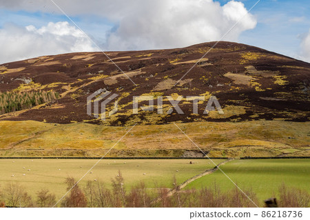 Sunny view of rural landscape 86218736