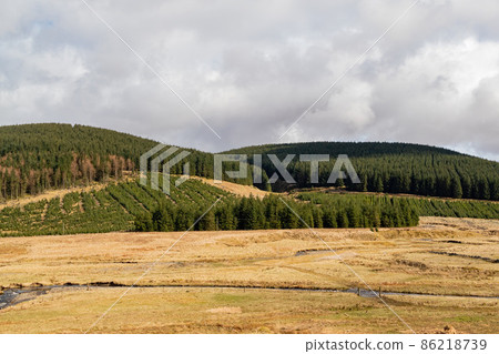 Sunny view of rural landscape Sunny view of rural landscape 86218739