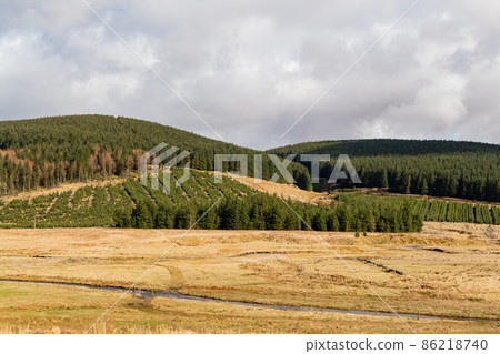 Sunny view of rural landscape Sunny view of rural landscape 86218740