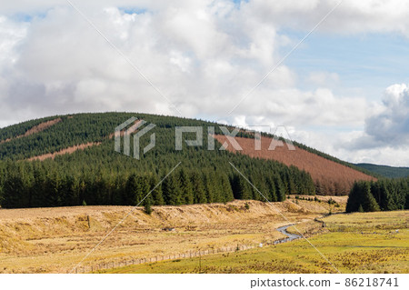 Sunny view of rural landscape Sunny view of rural landscape 86218741