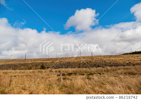 Sunny view of rural landscape 86218742