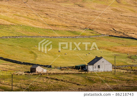 Sunny view of rural landscape Sunny view of rural landscape 86218743