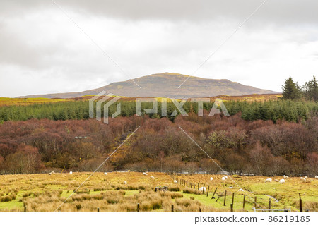 Overcast view of rural landscape Overcast view of rural landscape 86219185