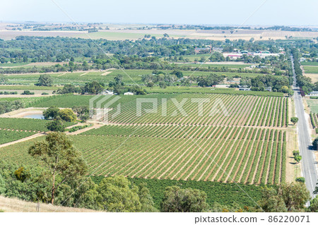 Winery in Barossa Valley in South Australia. 86220071