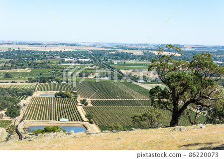 Winery in Barossa Valley in South Australia. Winery in Barossa Valley in South Australia. 86220073