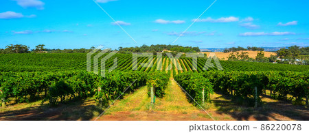 Winery in Barossa Valley in South Australia. 86220078