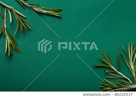 Rosemary food background with rosemary branches on minimal green background 86220537