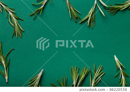 Rosemary food background with rosemary branches on minimal green background 86220538