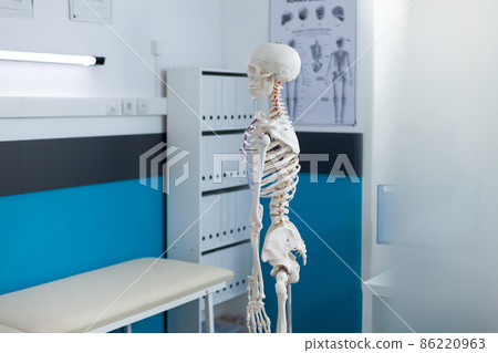Side view of human skeleton standing in empty medical office 86220963