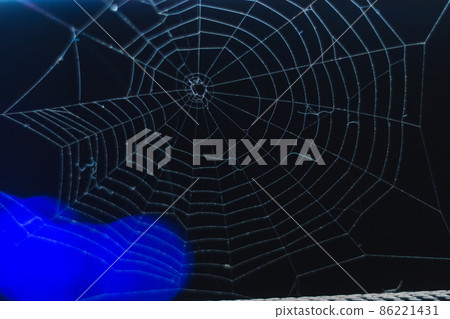 Spider Web in the darkness. Close up 86221431